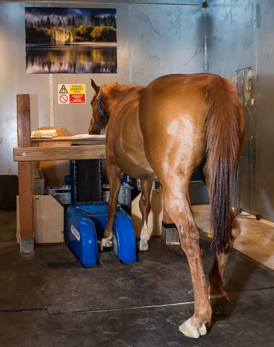 Arizona Equine Medical & Surgical Centre Picture 3