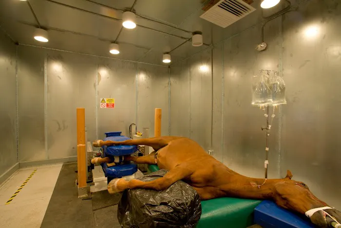 Arizona Equine Medical & Surgical Centre Picture 8
