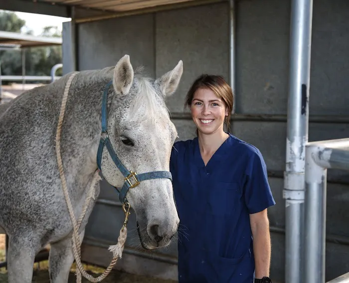 Arizona Equine Medical & Surgical Centre Picture 1