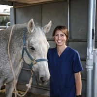 Arizona Equine Medical & Surgical Centre ico