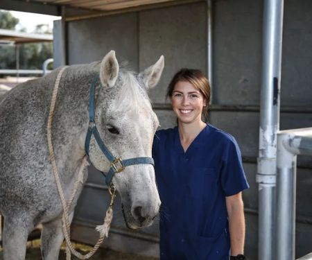 Arizona Equine Medical & Surgical Centre