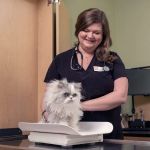Banfield Pet Hospital