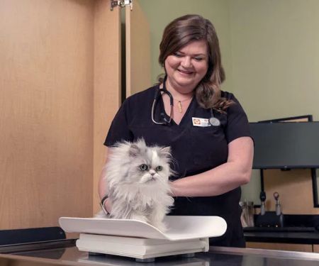Banfield Pet Hospital