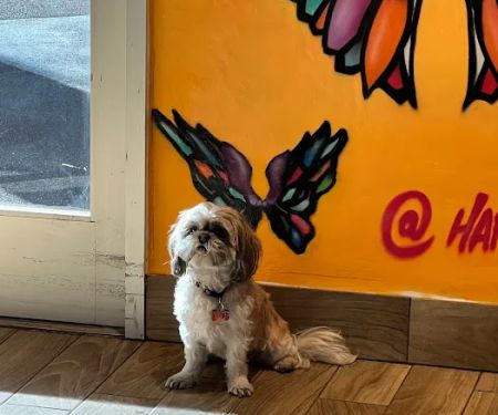 Happy Tails Barkery