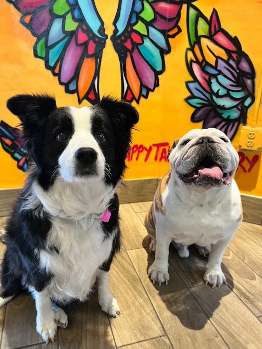 Happy Tails Barkery Picture 7