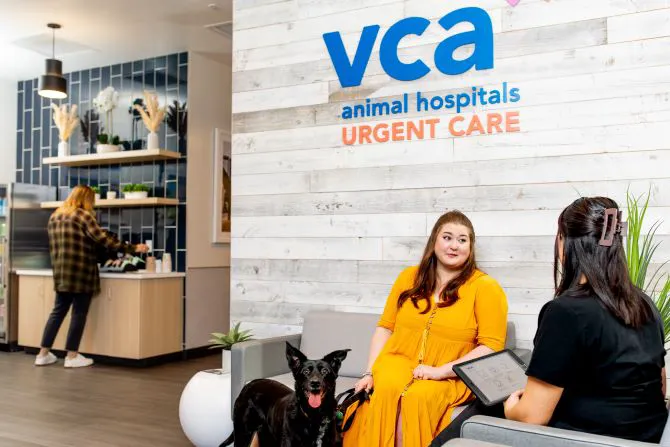 VCA Animal Hospitals Urgent Care - Chandler Picture 10