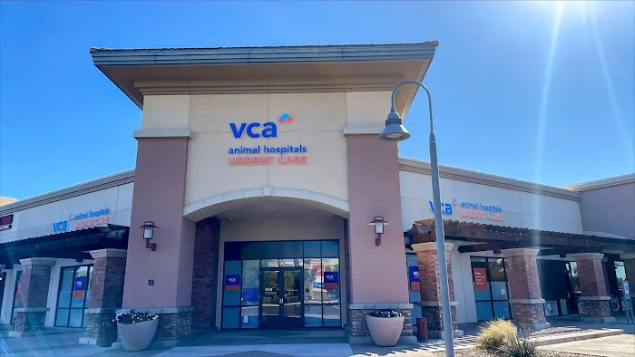 VCA Animal Hospitals Urgent Care - Chandler Picture 6