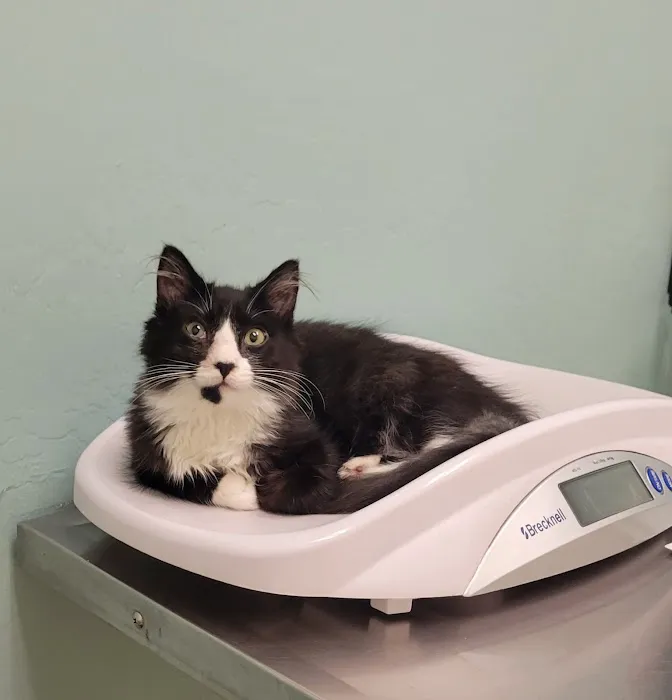 Crossroads Veterinary Hospital Picture 8