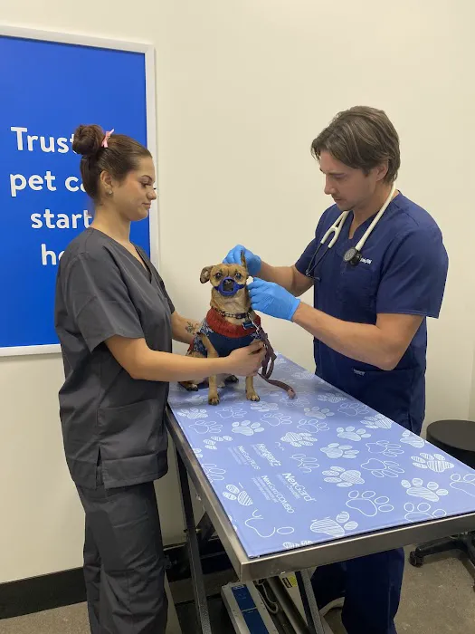 Walmart Pet Services Picture 8