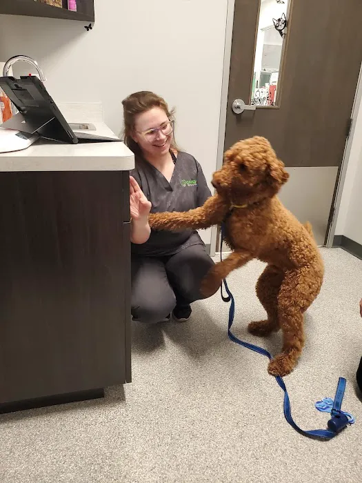 Curem Veterinary Care Picture 8
