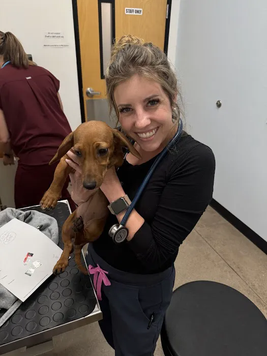 PetSmart Veterinary Services - Gilbert Picture 5
