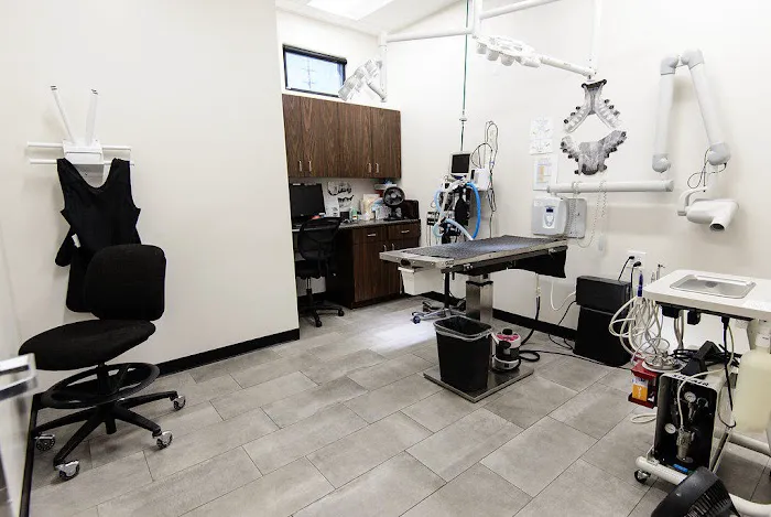 Val Vista Animal Hospital Picture 3