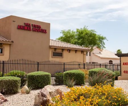 Val Vista Animal Hospital