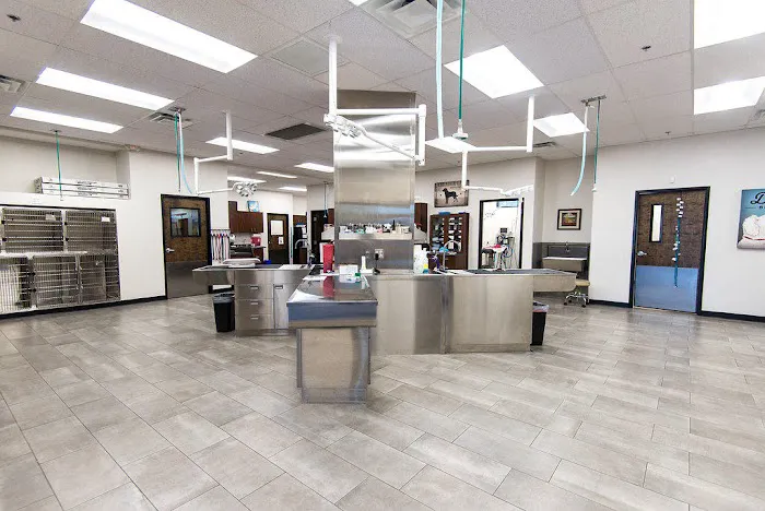 Val Vista Animal Hospital Picture 10