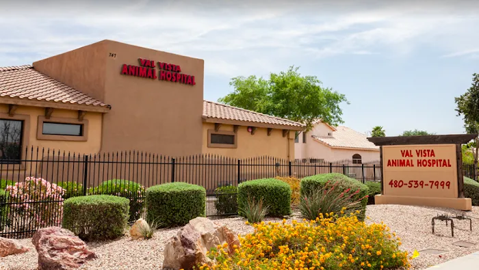 Val Vista Animal Hospital Picture 4