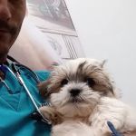 Dr Carr's Pet Repair