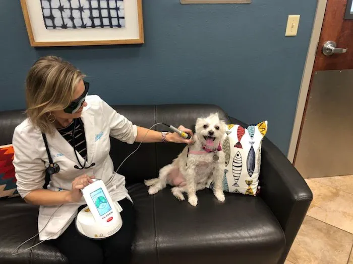 Hillside Animal Hospital Picture 8