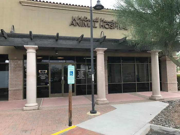 McDowell Mountain Animal Hospital Picture 4
