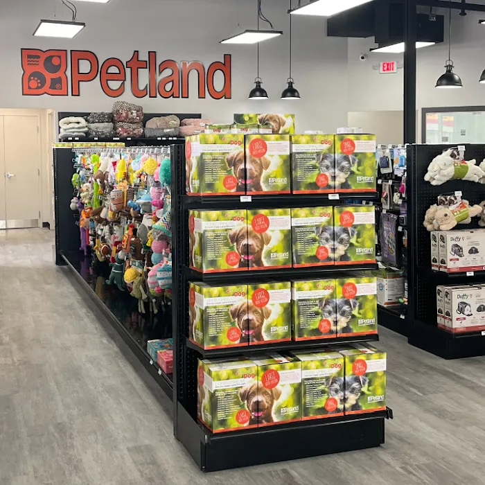 Petland Scottsdale Picture 10