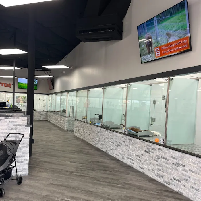 Petland Scottsdale Picture 6