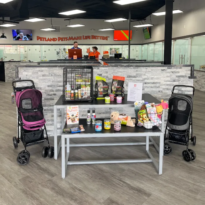 Petland Scottsdale Picture 9
