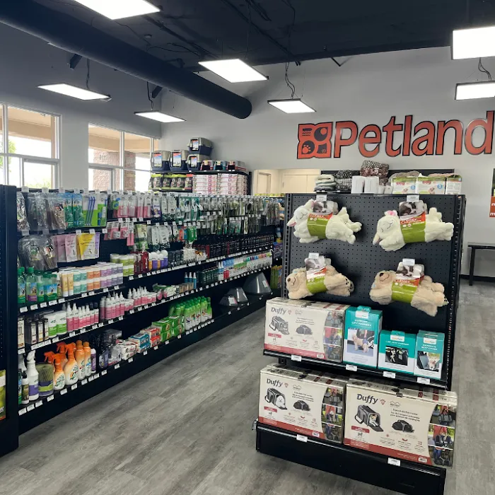 Petland Scottsdale Picture 7