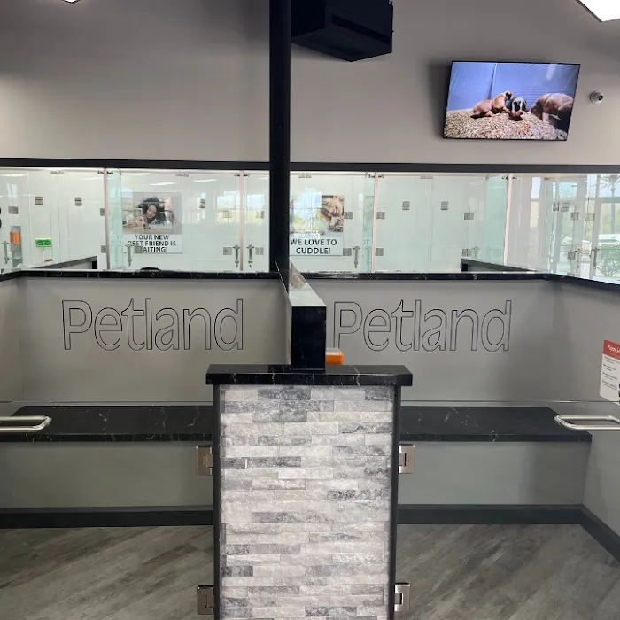 Petland Scottsdale Picture 8