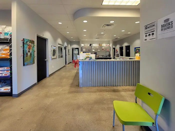 North Scottsdale Animal Hospital Picture 4