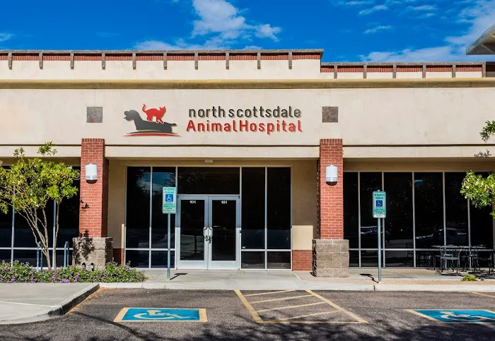 North Scottsdale Animal Hospital Picture 1