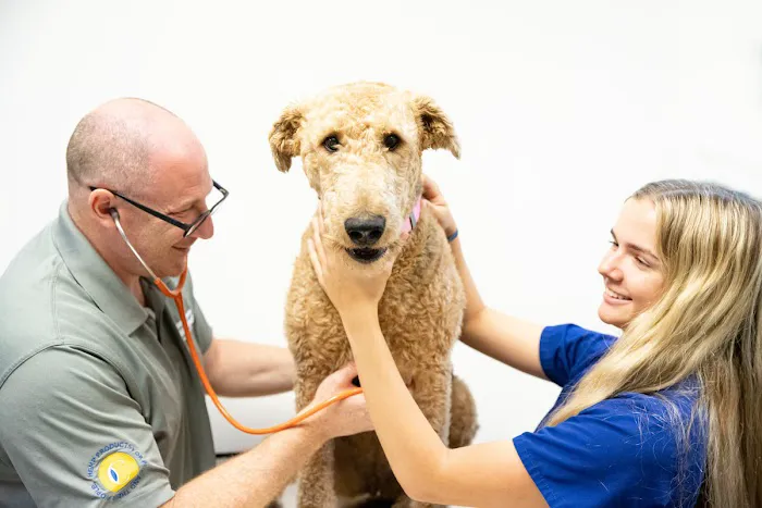 North Scottsdale Animal Hospital Picture 3