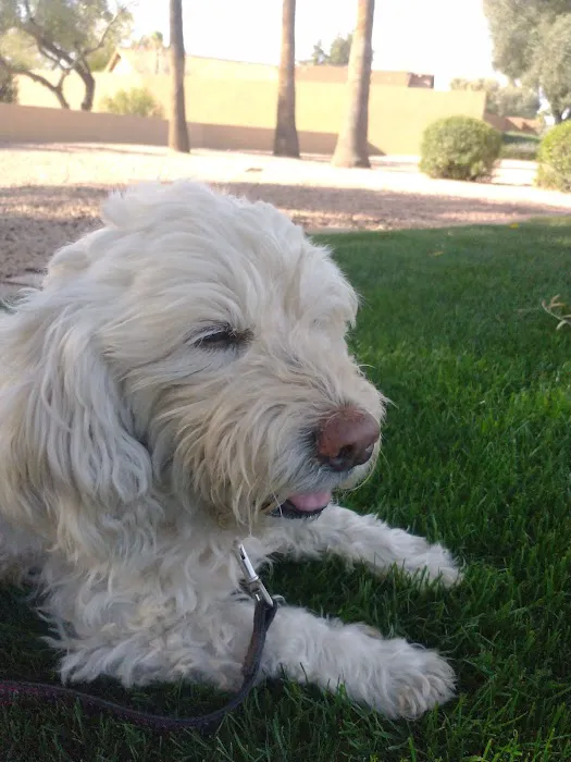 North Scottsdale Animal Hospital Picture 2