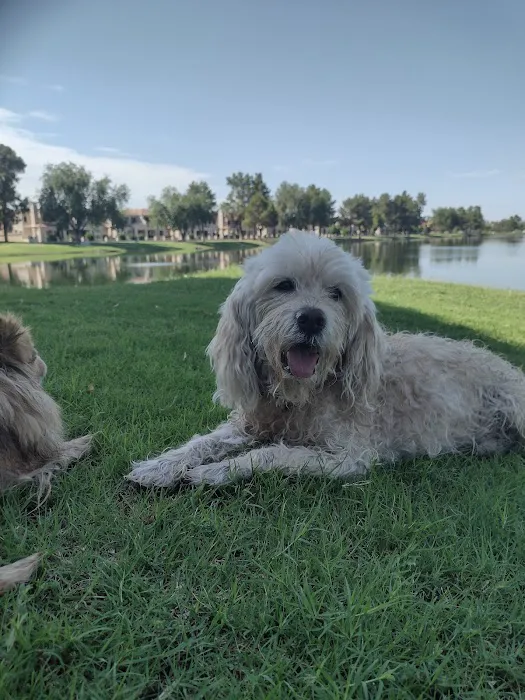 North Scottsdale Animal Hospital Picture 8