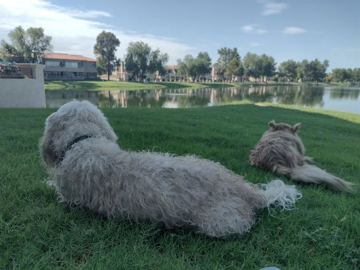 North Scottsdale Animal Hospital Picture 7