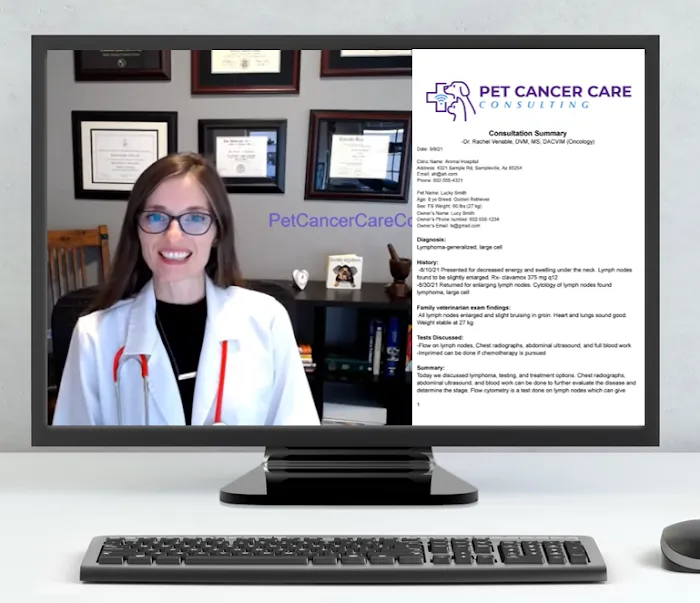 Pet Cancer Care Consulting Picture 4