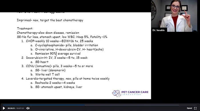 Pet Cancer Care Consulting Picture 3