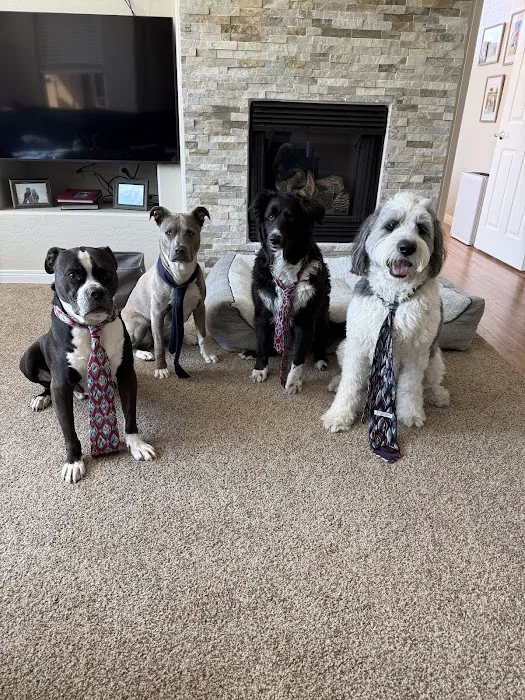 Scottsdale Animal Healthcare Picture 5