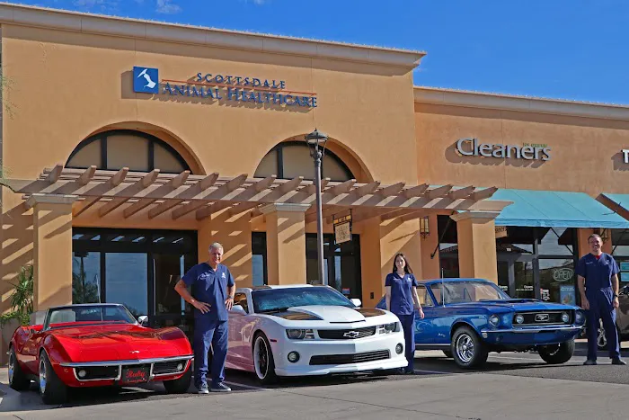 Scottsdale Animal Healthcare Picture 3