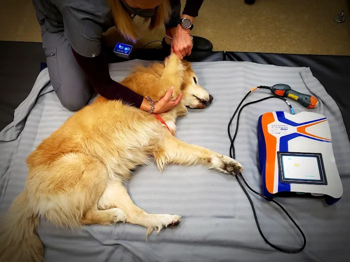 Canine Wellness Center Picture 6