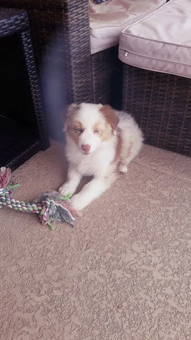 Animal Hospital at Grayhawk Picture 1
