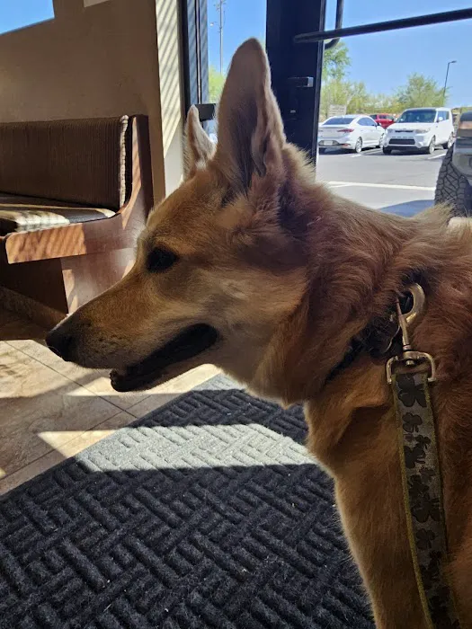 Scottsdale Veterinary Specialty and Emergency Center Picture 5