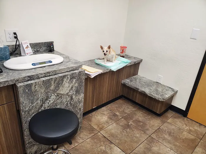Scottsdale Veterinary Specialty and Emergency Center Picture 3