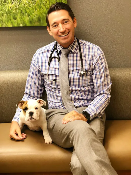 Desert Veterinary Medical Specialists Picture 2