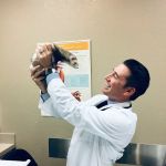 Desert Veterinary Medical Specialists