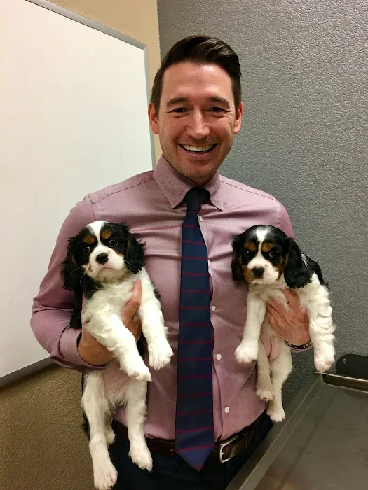 Desert Veterinary Medical Specialists Picture 3