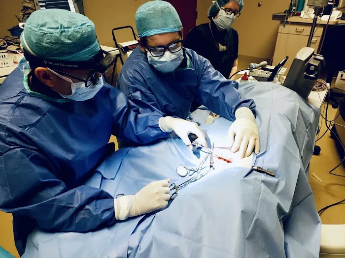 Desert Veterinary Medical Specialists Picture 4
