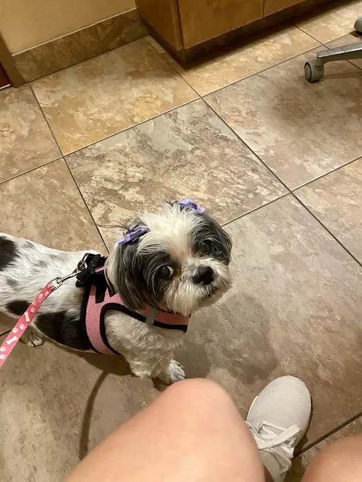 Eye Care for Animals - North Scottsdale Picture 8