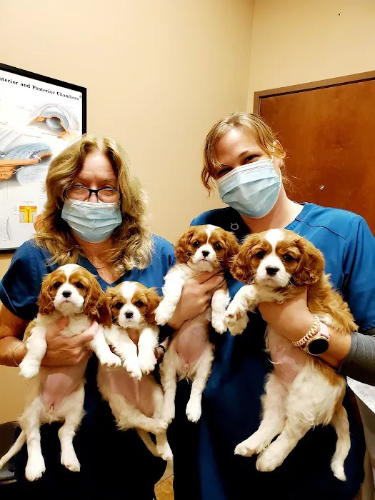 Eye Care for Animals - North Scottsdale Picture 9