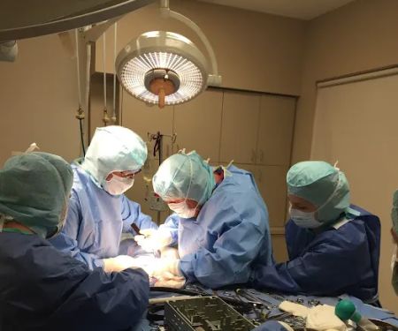 Southwest Veterinary Surgical Service, PC