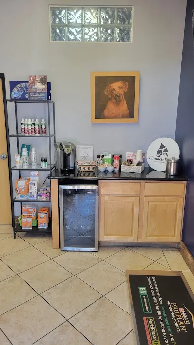 Pinnacle Peak Animal Hospital Picture 4