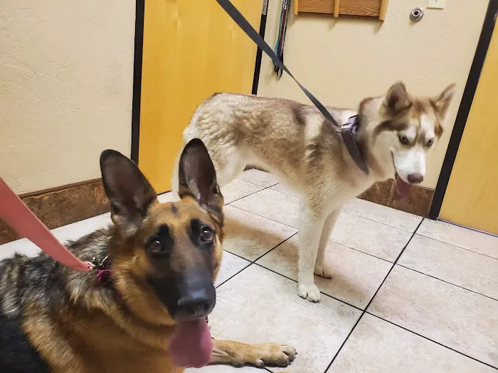 Pinnacle Peak Animal Hospital Picture 5
